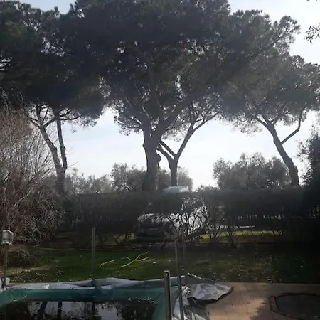 בית נופש Eucalyptus House
