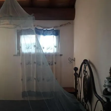 Eucalyptus House בית נופש Carige