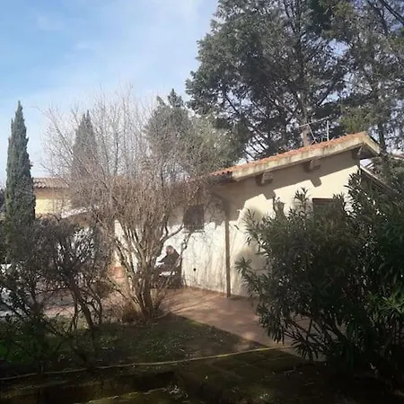 Eucalyptus House בית נופש Carige